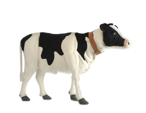Mooie XL Friese koe Zwart / Wit195 cm kopen