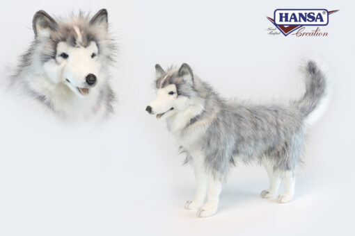 Mooie XL Grijze Husky grijs staand knuffel  75 cm kopen