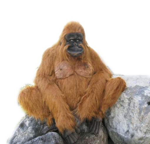 Mooie XL Roodbruine Orang-oetan volwassen mama decoratie 85 cm kopen