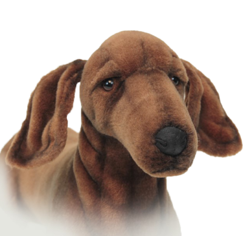 Mooie Bruine Teckel hond knuffel  59 cm kopen