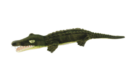 Mooie Groene Krokodil 120 cm L. kopen