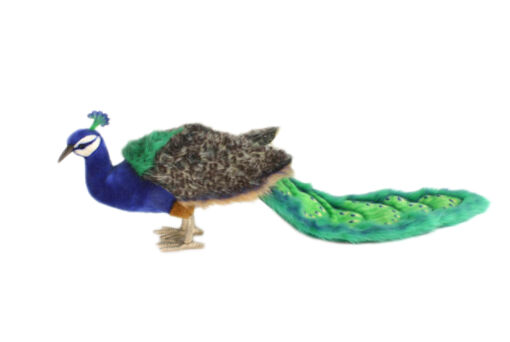 Mooie XL Blauwgroene Pauw decoratie  100 cm kopen