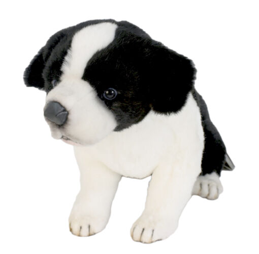 Mooie Bordercollie pup Wit / Zwart zittend knuffel 35 cm kopen