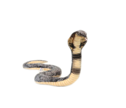 Mooie Grijze Cobra knuffel  86 cm kopen