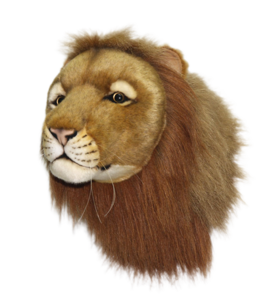 Mooie Leeuw hoofd decoratie  39 cm kopen