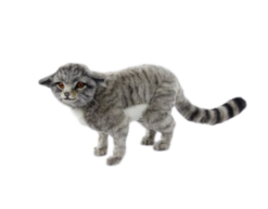 Mooie Grijze Schotse wilde kat staand knuffel  60 cm kopen