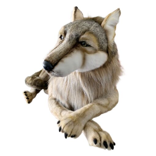Mooie XL Wolf liggend decoratie  125 cm kopen