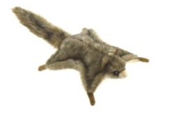 Mooie Beige Vliegende eekhoorn knuffel  21 cm kopen