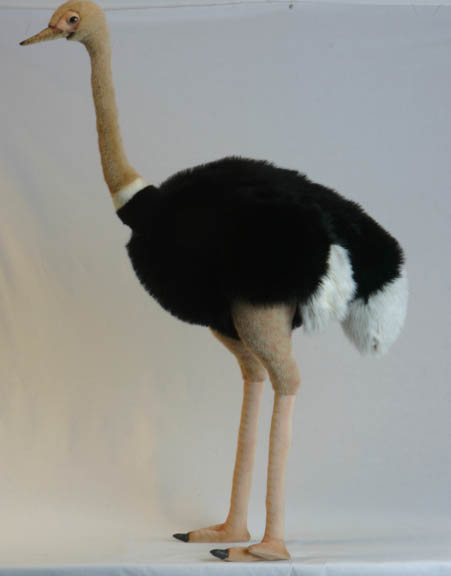 Mooie XL Struisvogel Zwart / Beige / Wit/ decoratie 120 cm kopen