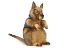 Mooie Roodbruine Wallaby knuffel  40 cm kopen