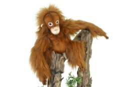Mooie Roodbruine Orang-oetan knuffel  28 cm kopen