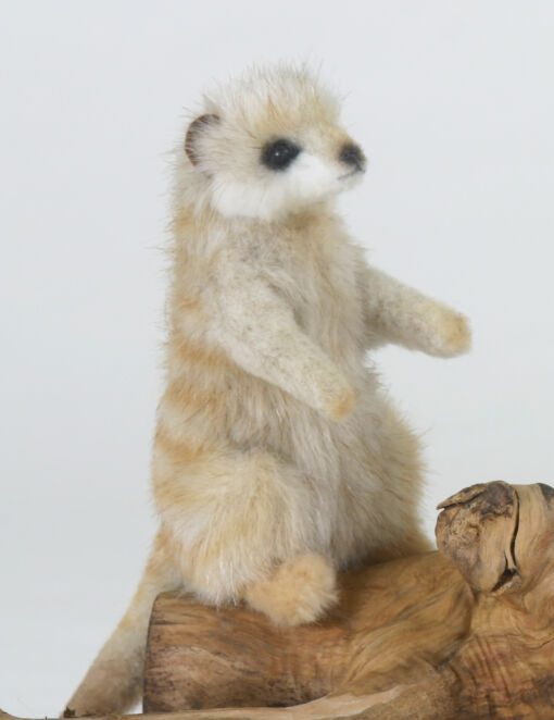 Mooie Beige Meerkat zittend knuffel  12 cm kopen