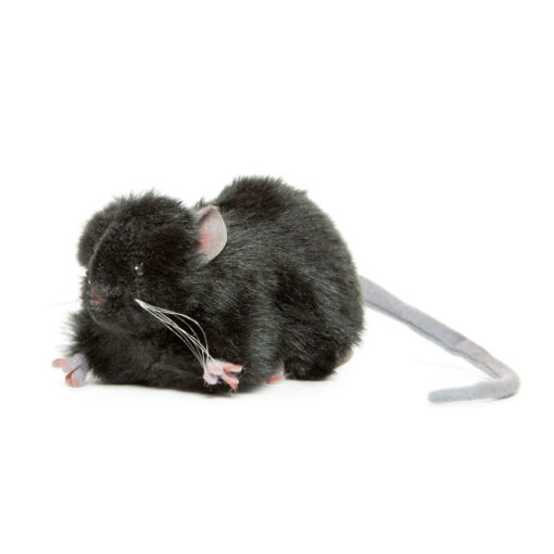 Mooie Dikke rat zwart knuffel 12 cm kopen
