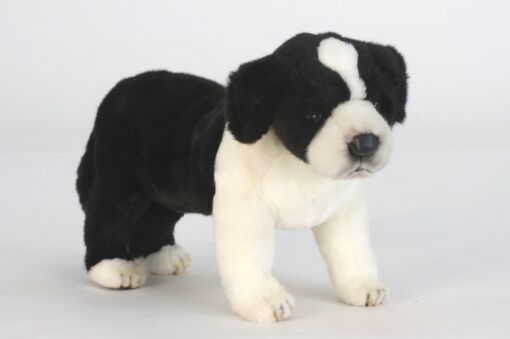 Mooie Zwarte Bordercollie pup staand knuffel  39 cm kopen