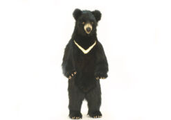 Mooie XL zwarte beer decoratie 115 cm kopen