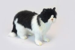 Mooie Zwarte Kat zwart-wit knuffel  46 cm kopen