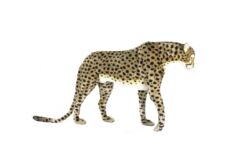 Mooie XL Goudgele Cheeta patroon staand decoratie  125 cm kopen