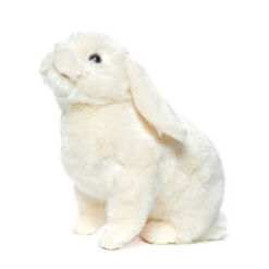 Mooie Witte Hangoor konijn . H knuffel  32 cm kopen