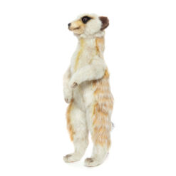 Mooie Beige Meerkat knuffel  33 cm kopen