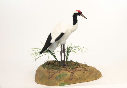 Mooie Witte Japanse kraanvogel  h=42 decoratie  48 cm kopen