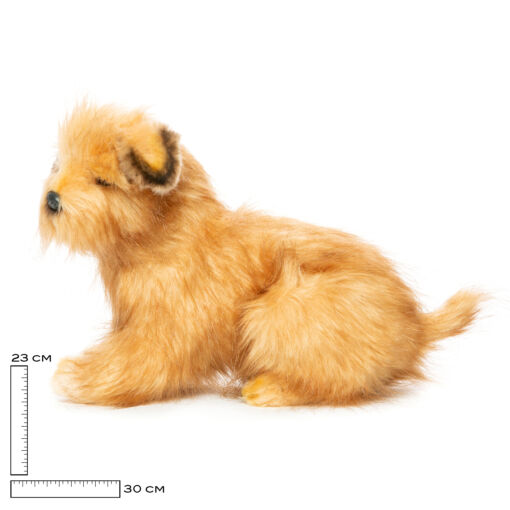 Mooie Beige Norfolkterriër hond knuffel  23 cm kopen
