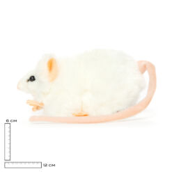 Mooie Witte rat wit knuffel  12 cm kopen