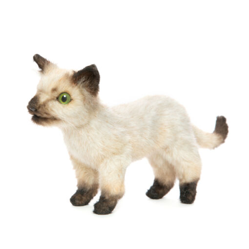 Mooie Wit / Zwarte Siamese kat kitten knuffel  33 cm kopen