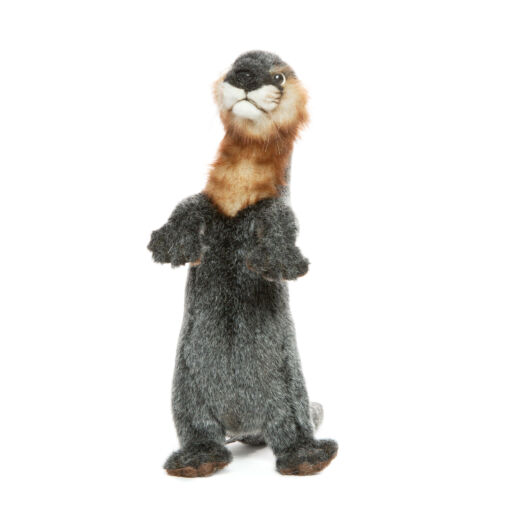 Mooie Grijze Otter knuffel  27 cm kopen