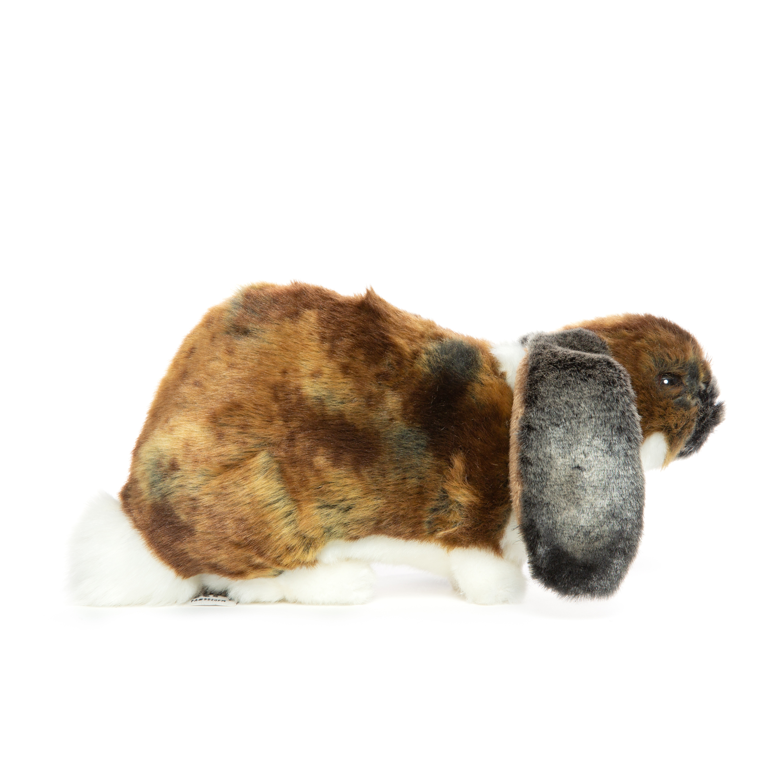 Nauw Museum organiseren Hangoorkonijn bruin/wit 25 cm - zeer gedetailleerd pluchen dier