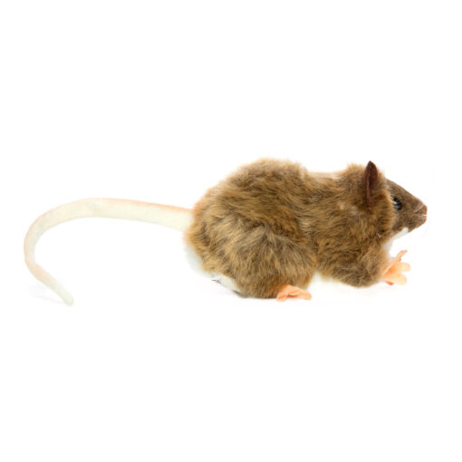 Mooie Bruine rat knuffel  12 cm kopen