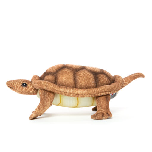 Mooie Bruine Schildpad met beweegbaar hoofd knuffel  22 cm kopen