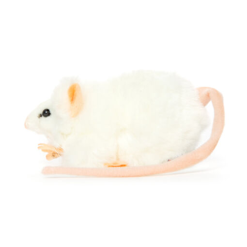Mooie Witte Dikke rat wit knuffel  12 cm kopen