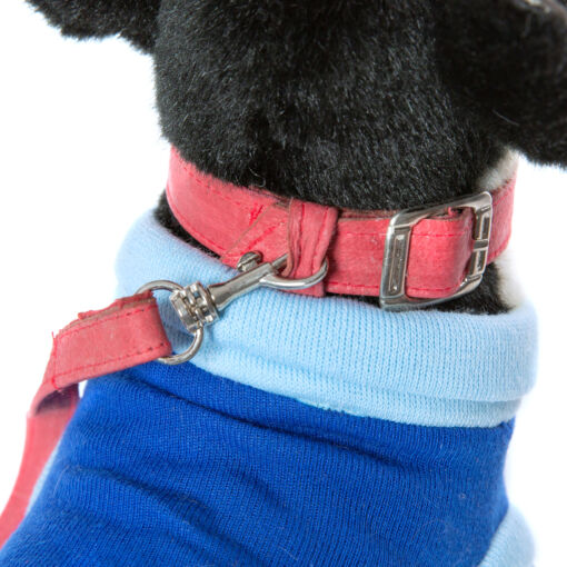 Mooie Blauw shirt Chihuahua knuffel  27 cm kopen