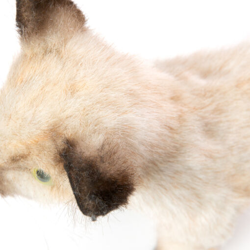 Mooie Donkere Siamese kat kitten knuffel  33 cm kopen