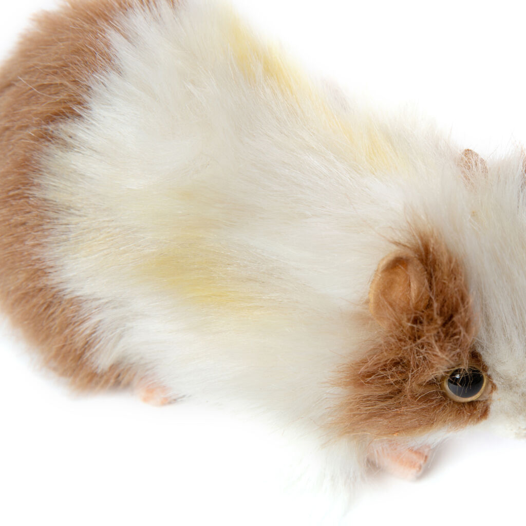 Hansa knuffel cavia - bruin - 30 cm - pluche - knuffeldier | Fun en Feest