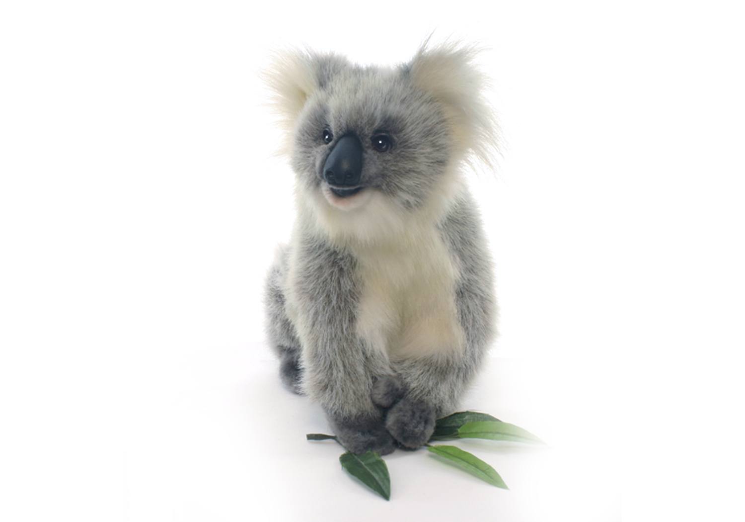 Maori Kwijtschelding Omringd Koala knuffel wit/grijs met blad 23 cm - gedetailleerd pluchen dier