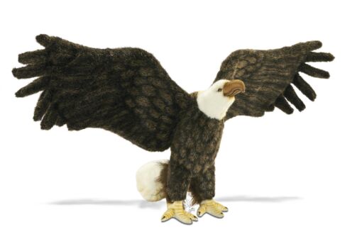 Mooie Donkere Amerikaanse adelaar decoratie  70 cm kopen