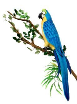 Mooie Blauwgele ara (papegaai) decoratie  72 cm kopen