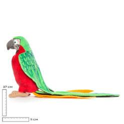 Mooie Groene Papegaai rood lijf knuffel  37 cm kopen