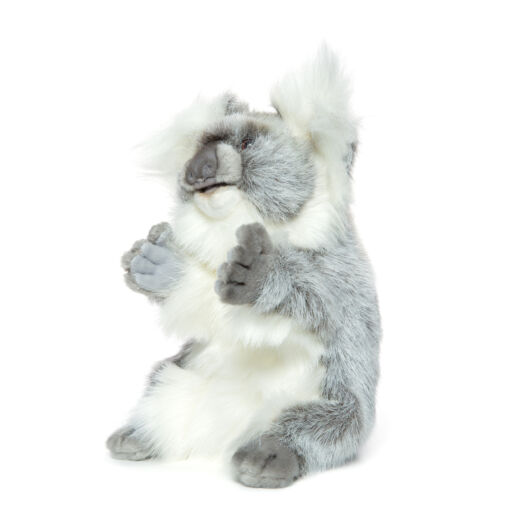 Mooie Witte Koala handpop knuffel  23 cm kopen