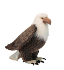 Mooie XL Bruine Amerikaanse adelaar decoratie  45 cm kopen
