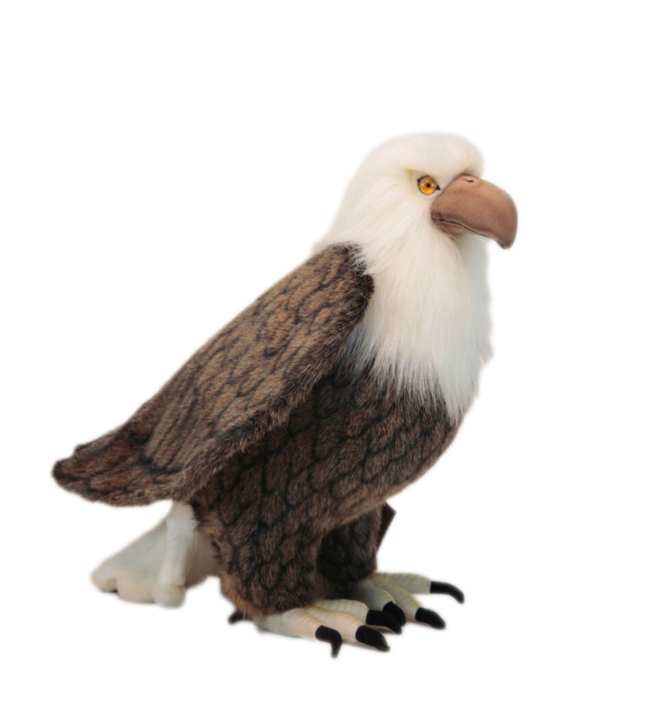 Maxi-Flicken, XL, amerikanischer Adler, 24 x 34 cm, zum Aufbügeln, kompatibel mit Jacken, Harley Davidson, American Eagle Maxi-Flicken, XL, amerikanischer Adler, 24 x 34 cm, zum Aufbügeln, kompatibel mit Jacken, Harley Davidson, American Eagle