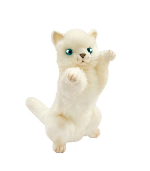 Mooie Witte Speelse kitten kat 25 cm kopen