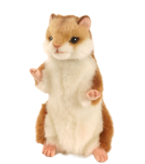 Mooie Roodbruin / witte Hamster knuffel  15 cm kopen