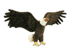 Mooie Bruine Amerikaanse adelaar vleugels wijd decoratie  70 cm kopen