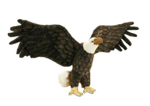 Mooie Amerikaanse adelaar vleugels wijd decoratie vogel 70 cm kopen