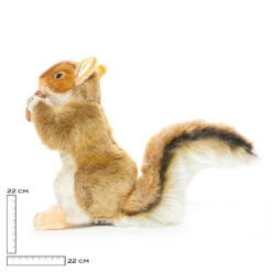 Lichtbruine eekhoorn met noot knuffel 22 cm