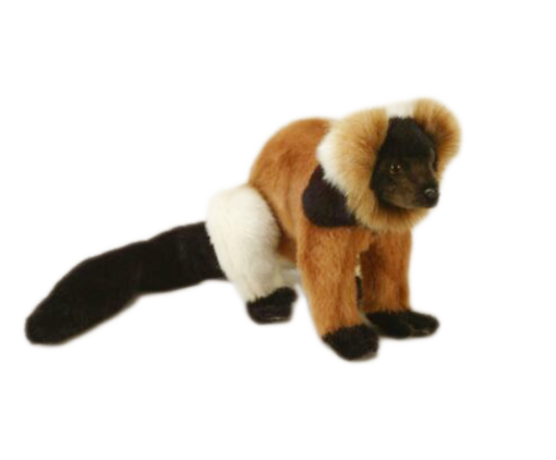 Mooie Lemur Madagascar zittend 22cm kopen