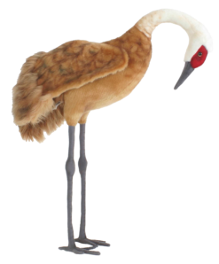 Mooie Animatronic Sandhill kraanvogel kopen