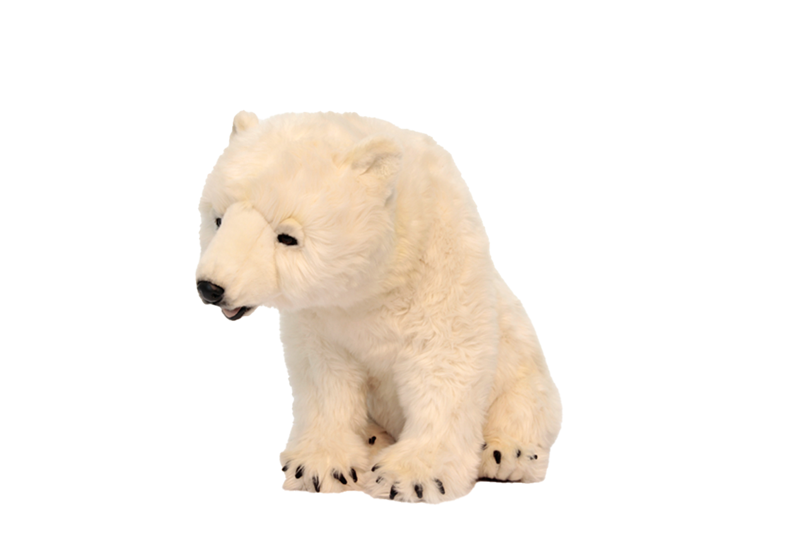 Animatronic IJsbeer welp 45 cm hoog Mooie Animatronic IJsbeer welp 45 cm hoog kopen